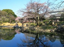 Tokyo Asakusa Denbou-In_2018-03-25_Hiroyoshi Kawana