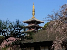 Tokyo Asakusa Denbou-In_2018-03-25_Hiroyoshi Kawana