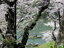 Tokyo Chidorigafuchi_2018-03-29_Hiroyoshi Kawana