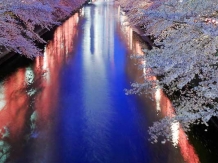 Tokyo Megurogawa River_2017-04-07_Hiroyoshi Kawana