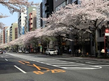 Tokyo Yasukuni dori_2018-03-29_Hiroyoshi Kawana