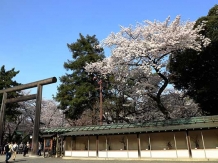 Tokyo YasukuniJinja Shrine_2018-03-29_Hiroyoshi Kawana