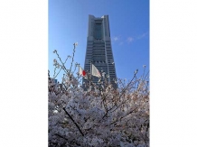 Yokohama Landmark Tower_2018-03-28_Hiroyoshi Kawana