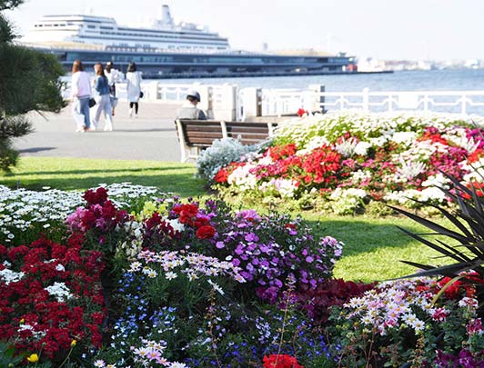 Yokohama TatsuoIdezawa