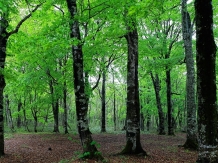 Tanbara Plateau May 2015 Hiroyoshi Kawana