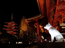 Tokyo Senso ji Gojuunotou Dog 2018 01 02 Hiroyoshi Kawana