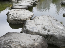 Kiyosumi Teien, Japanese Garden in Tokyo