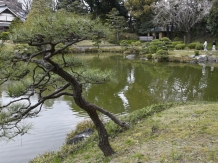 Kiyosumi Teien, Japanese Garden in Tokyo