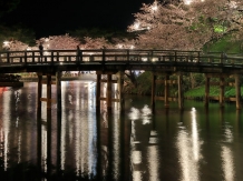 Takada Park, Joetsu city in Niigata, Hiroyoshi Kawana