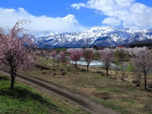 Myoko city, Niigata Prefecture, Hiroyoshi Kawana