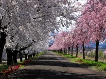 Myoko city, Niigata Prefecture, Hiroyoshi Kawana