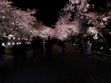 Takada Park, Joetsu city in Niigata, Hiroyoshi Kawana