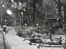 Snow in Kamakura