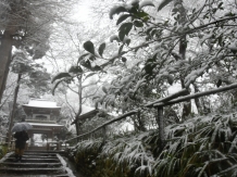 Snow in Kamakura