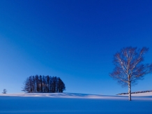 Biei Town, Hokkaido, February 2019 Mr Haruo Kikuchi