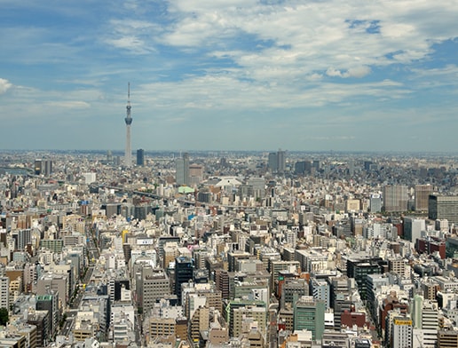 View of the big city, Tokyo
