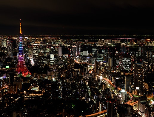 View of the big city, Tokyo