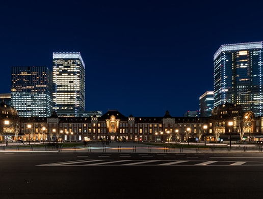 View of the big city, Tokyo