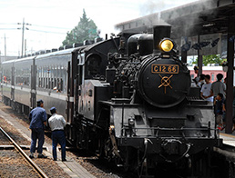Steam Locomotive Train, SL Moka