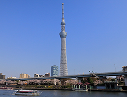 Sumida River