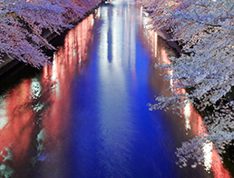 Meguro River