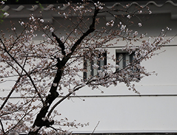 Imperial Palace Sakurada-mon gate