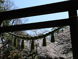Genjiyama Park
