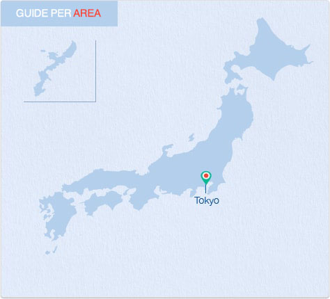 GUIDA PER AREA