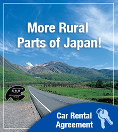 Car Rentals