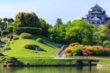 
						Les jardins Japonais