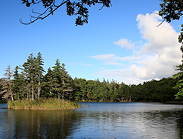Shiretoko, Hokkaido