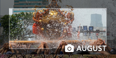photo of the month August 2019