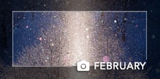 photo of the month February 2019