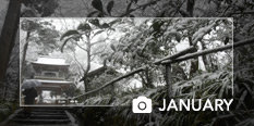 photo of the month January 2020