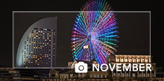 photo of the month November 2019