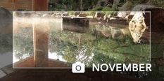 photo of the month November 2018