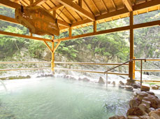 Nano Yado Hotel Iya Onsen