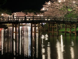 Bridge built over the moat