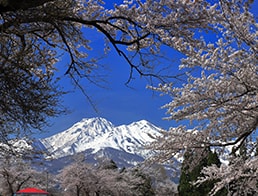 overlook Mt Myoko from the Sakura picture frame