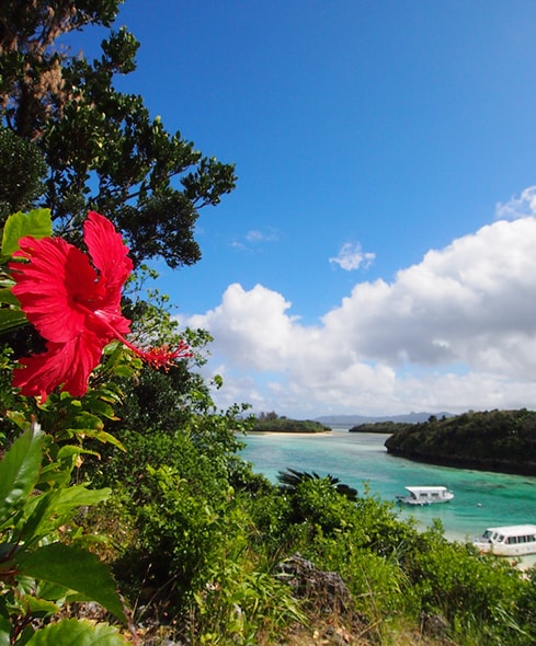 Beach Holiday: Ishigaki Adventure