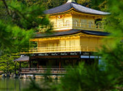 Japan Tours 1