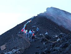 Guided Tours in Japan