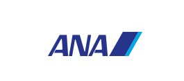 ANA Air Pass