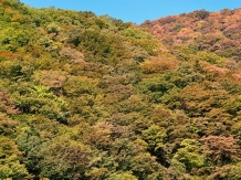 akita_semboku_20121017_hioshi_ito4