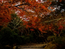 kyoto-saga_arashiyama_2017-11-21_hirotsugu_nakagawa01