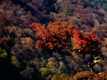 kyoto-saga_arashiyama_2017-11-25_hirotsugu_nakagawa03