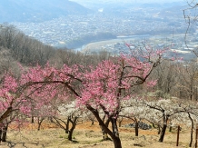 Nagatoro town, Saitama, mid March Mr Goro Abe