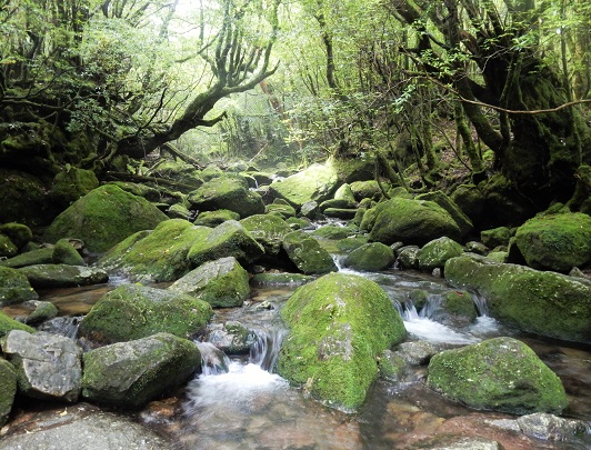 Yakushima