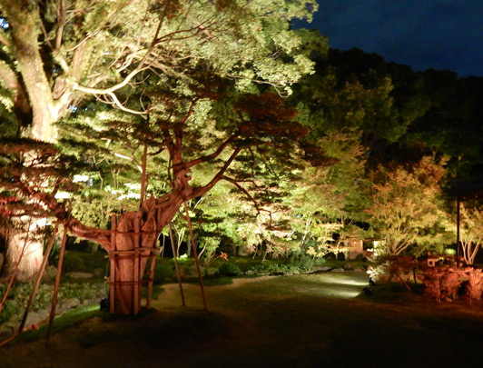 Hakata, Fukuoka