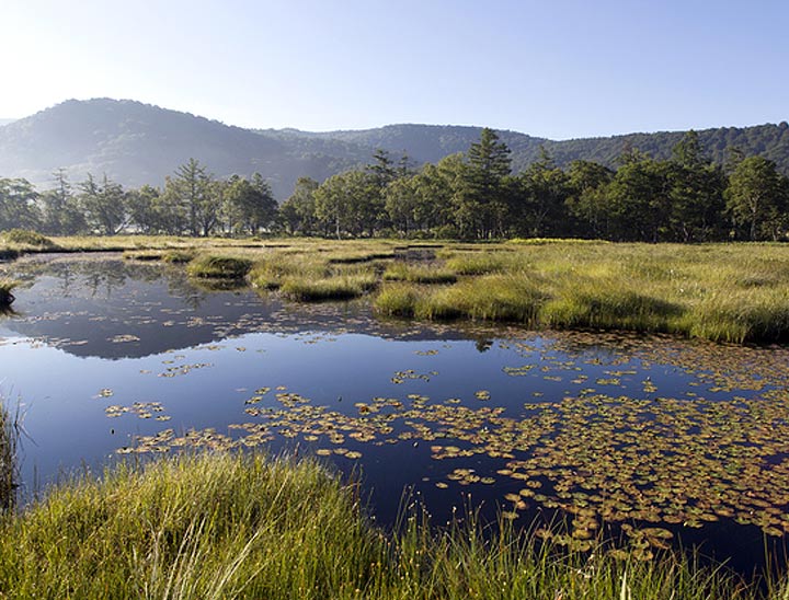 Le Parc National Oze